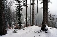  29. März 2013 - der Winter will dieses Jahr nicht weichen